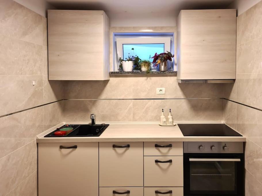 Hisa Idej Apartment Sezana ภายนอก รูปภาพ